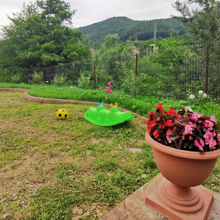 Pensjonat Casa Vio Nehoiu Zewnętrze zdjęcie