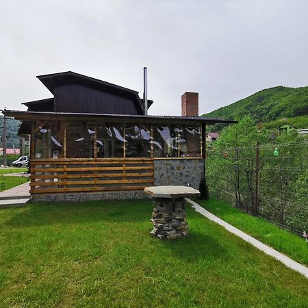 Pensjonat Casa Vio Nehoiu Zewnętrze zdjęcie