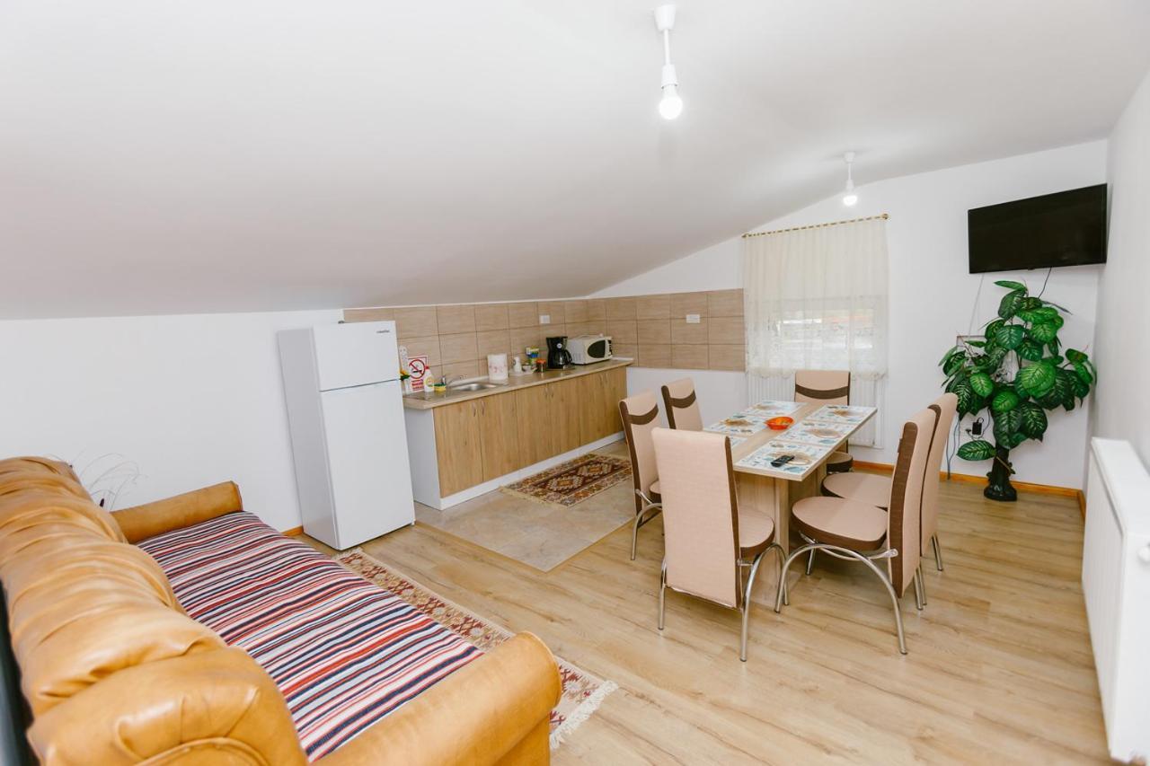 Pensjonat Casa Vio Nehoiu Zewnętrze zdjęcie