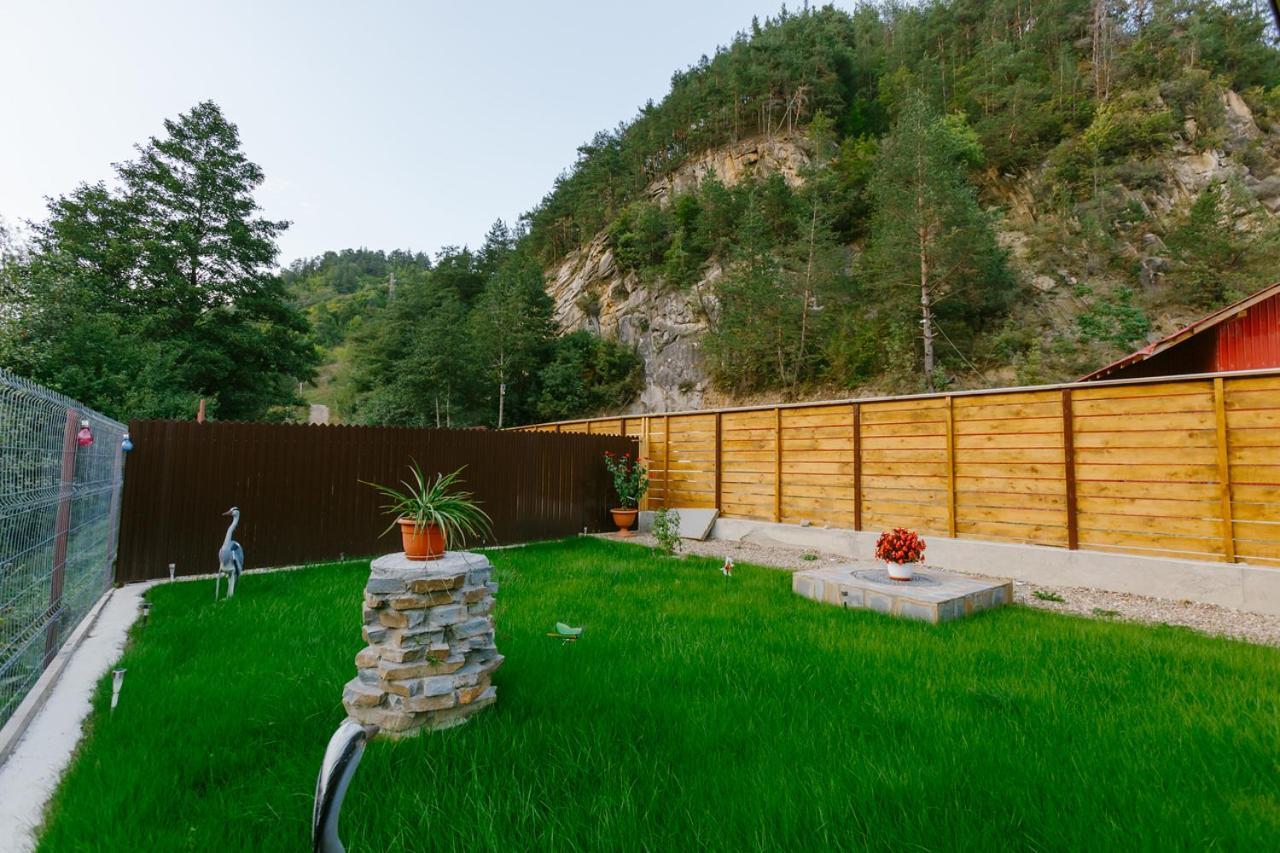 Pensjonat Casa Vio Nehoiu Zewnętrze zdjęcie