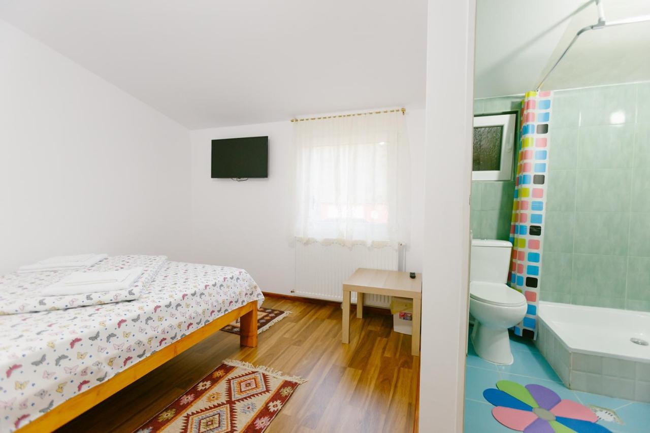 Pensjonat Casa Vio Nehoiu Zewnętrze zdjęcie