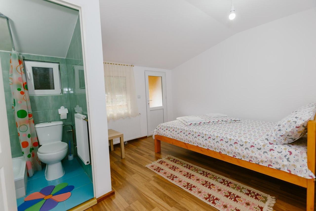 Pensjonat Casa Vio Nehoiu Zewnętrze zdjęcie