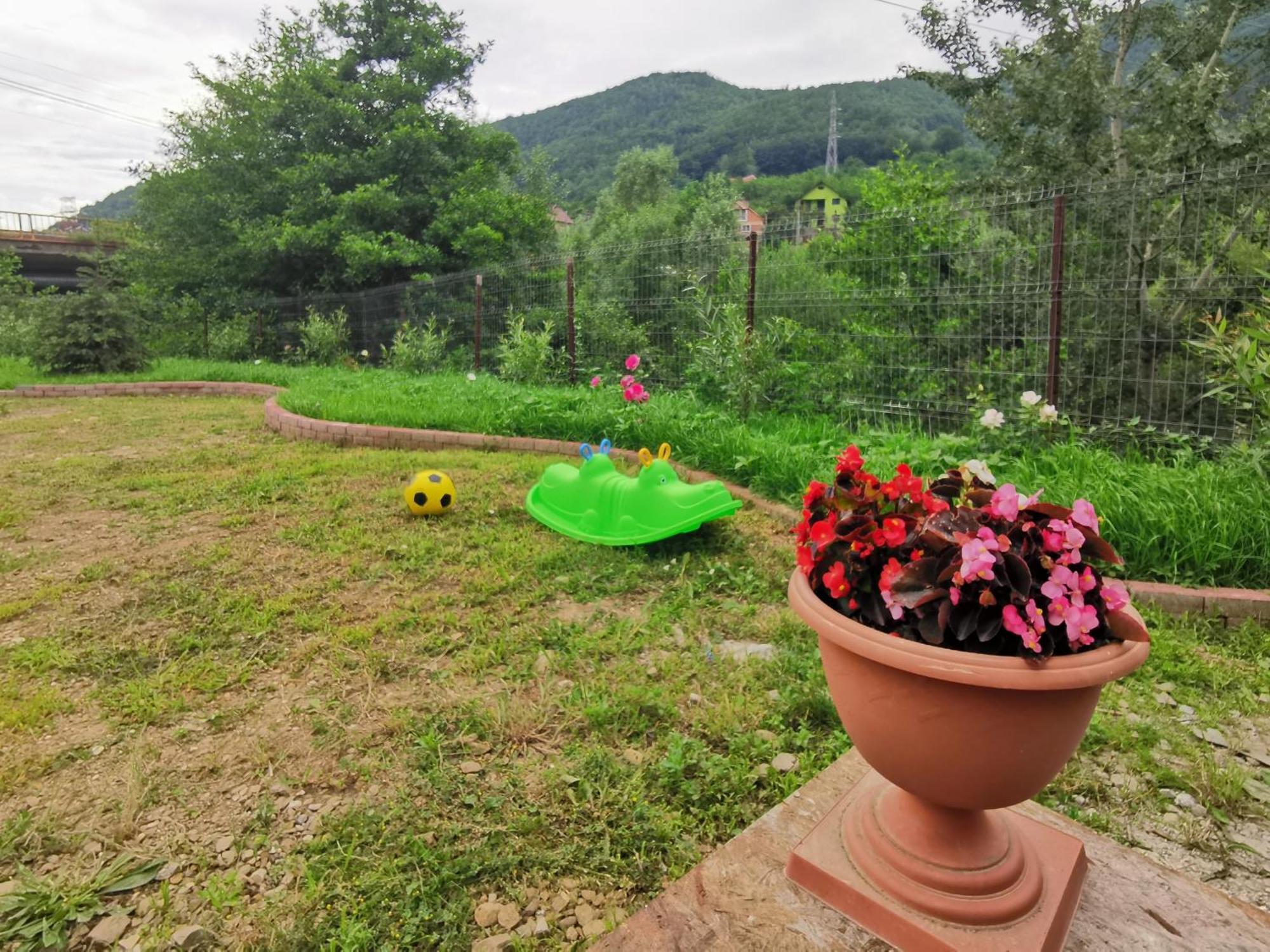 Pensjonat Casa Vio Nehoiu Zewnętrze zdjęcie