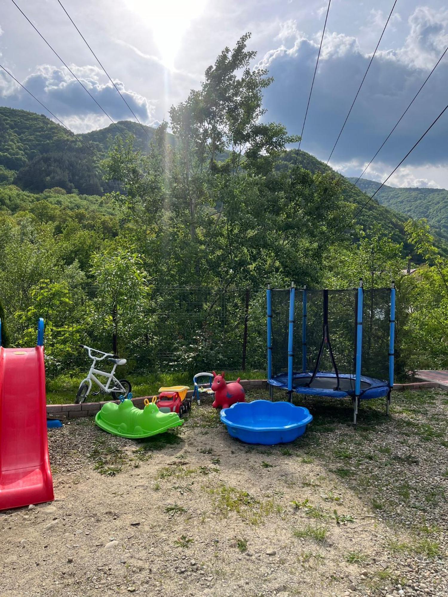 Pensjonat Casa Vio Nehoiu Zewnętrze zdjęcie