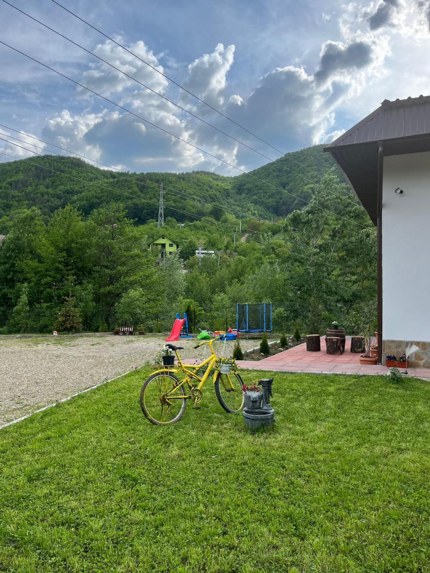 Pensjonat Casa Vio Nehoiu Zewnętrze zdjęcie