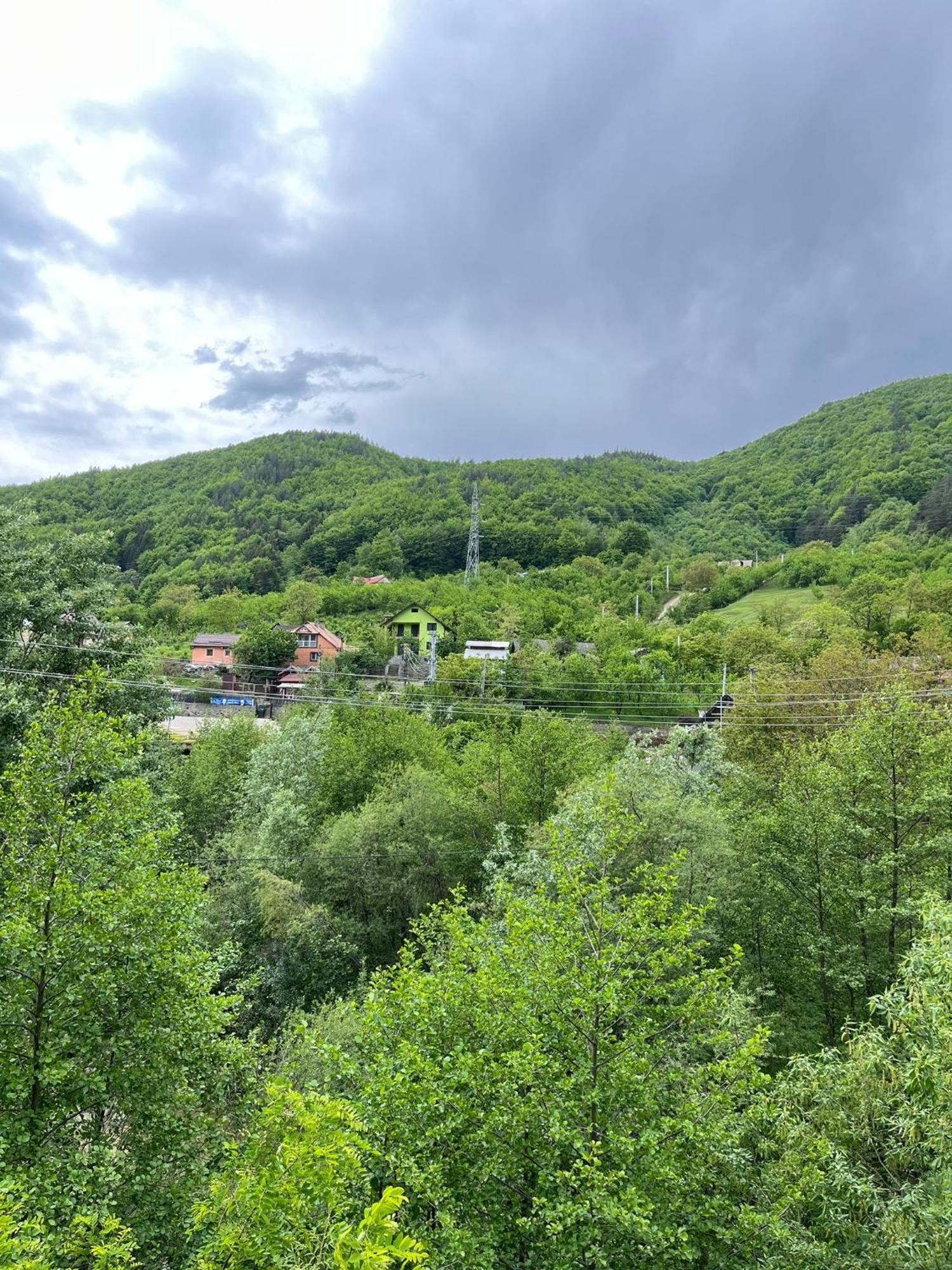 Pensjonat Casa Vio Nehoiu Zewnętrze zdjęcie