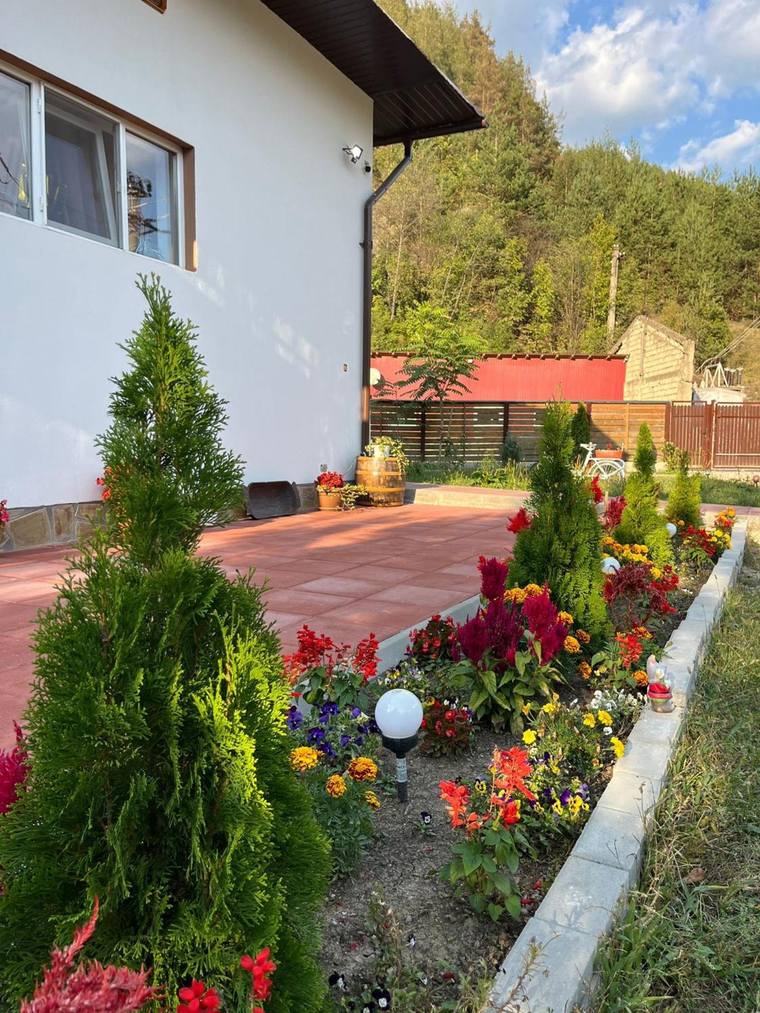 Pensjonat Casa Vio Nehoiu Zewnętrze zdjęcie